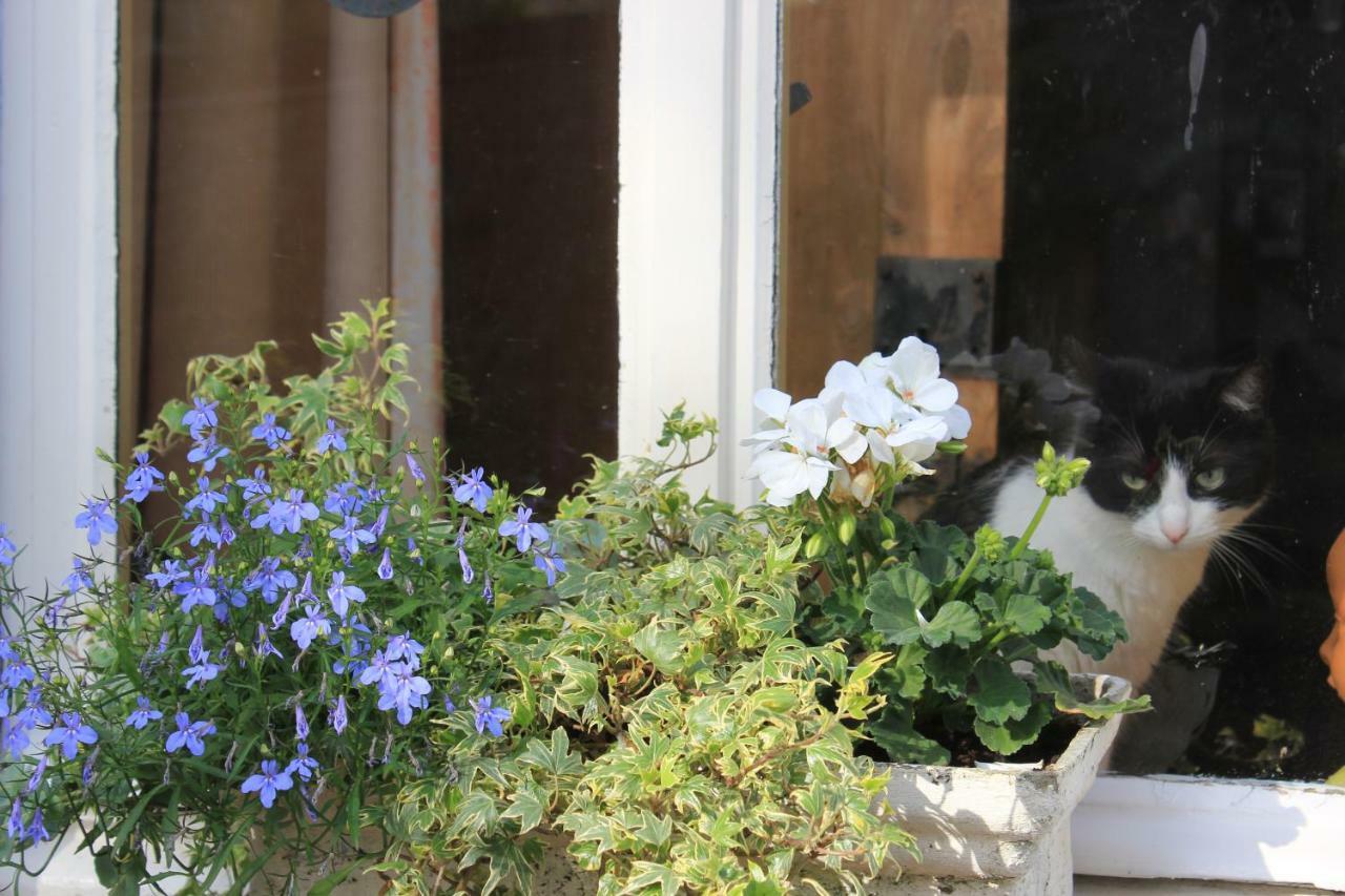 La Passiflore B&B Bossiere Esterno foto