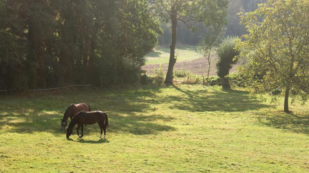 La Passiflore B&B Bossiere Esterno foto
