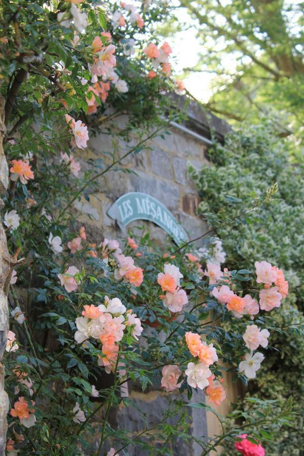 La Passiflore B&B Bossiere Esterno foto