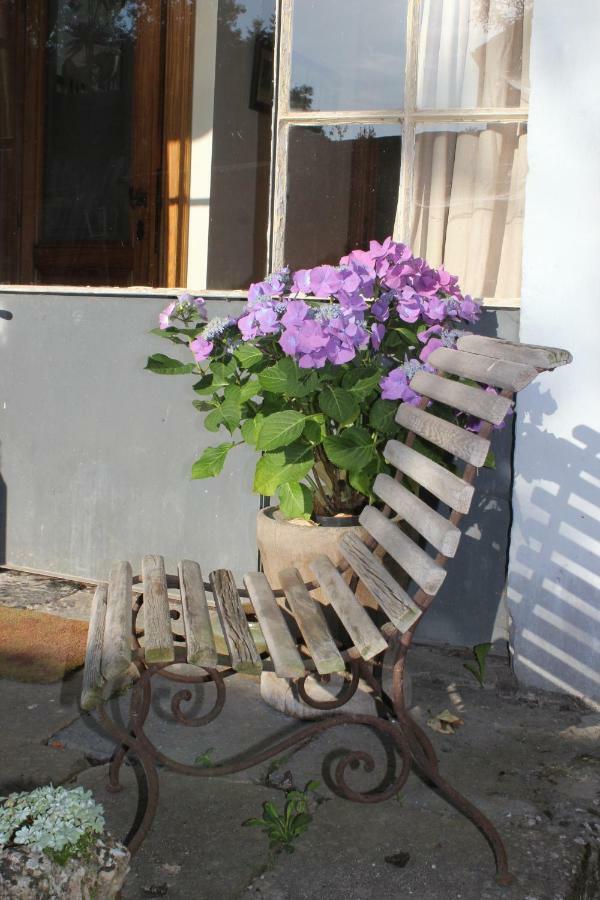 La Passiflore B&B Bossiere Esterno foto